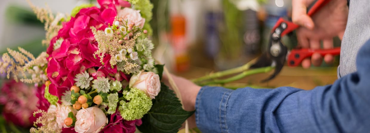 The Art of Bloom