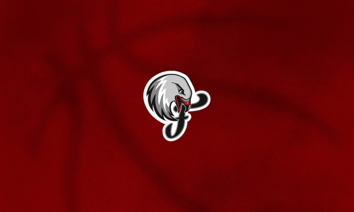 Nürnberg Falcons