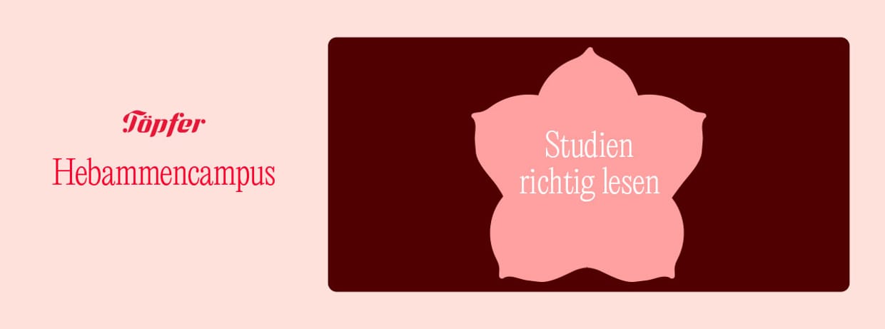 Studien richtig interpretieren: Evidenzbasierte Hebammenarbeit für Praktikerinnen