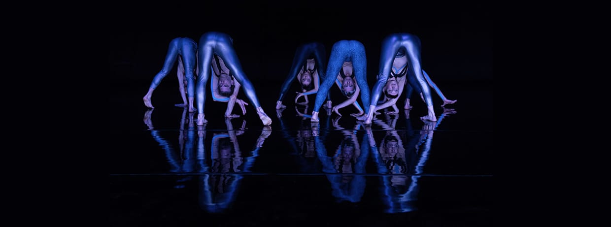 COCOONDANCE COMPANY ausverkauft!
