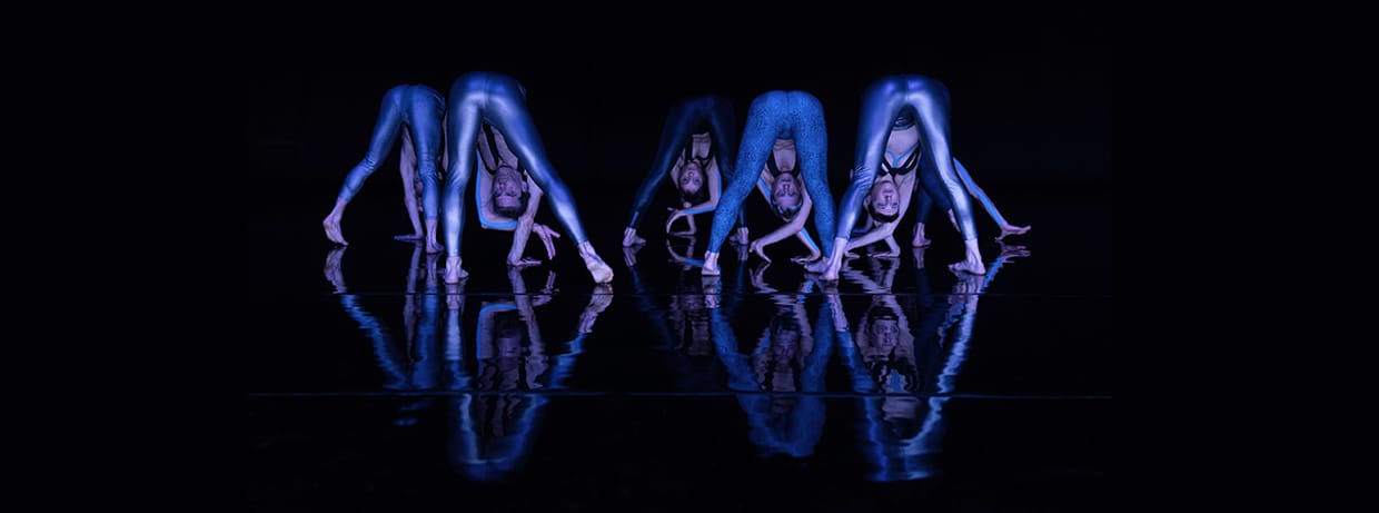 COCOONDANCE COMPANY