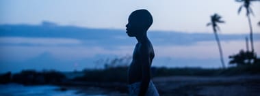 Source Material:  MOONLIGHT