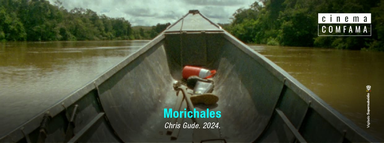 Morichales