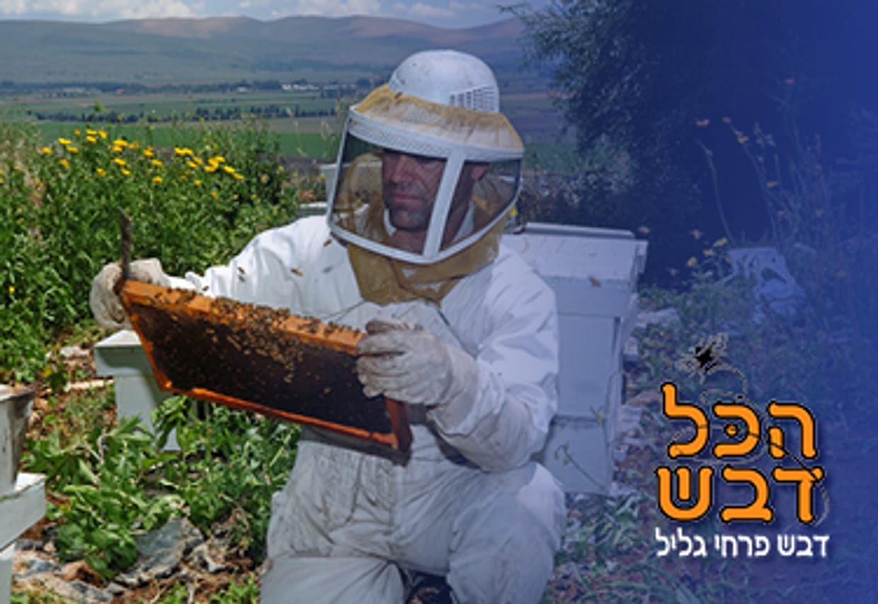 י.ש הכל דבש