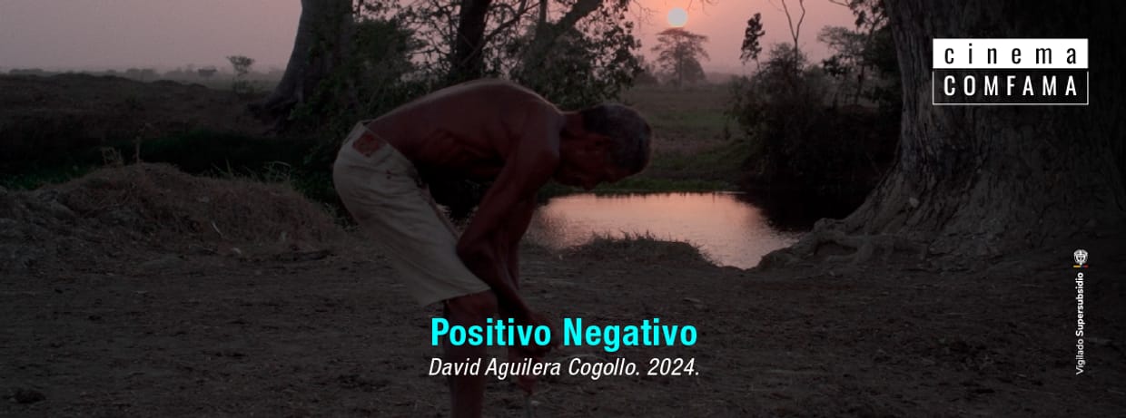 Positivo Negativo