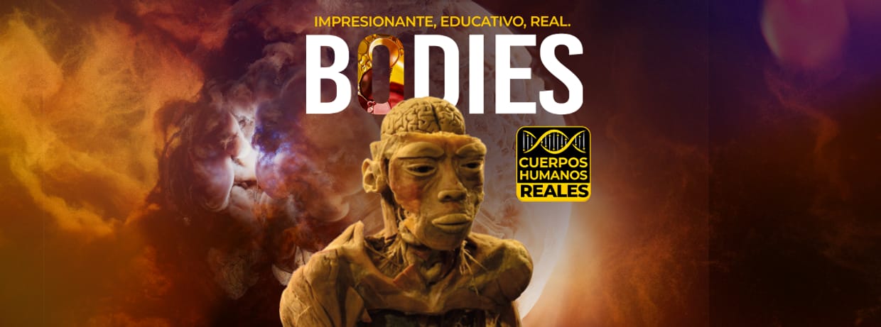 Bodies Exhibition | Quetzaltenango 2025