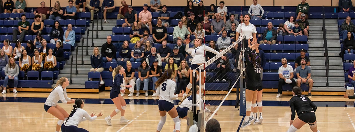 Volleyball vs. Chico State