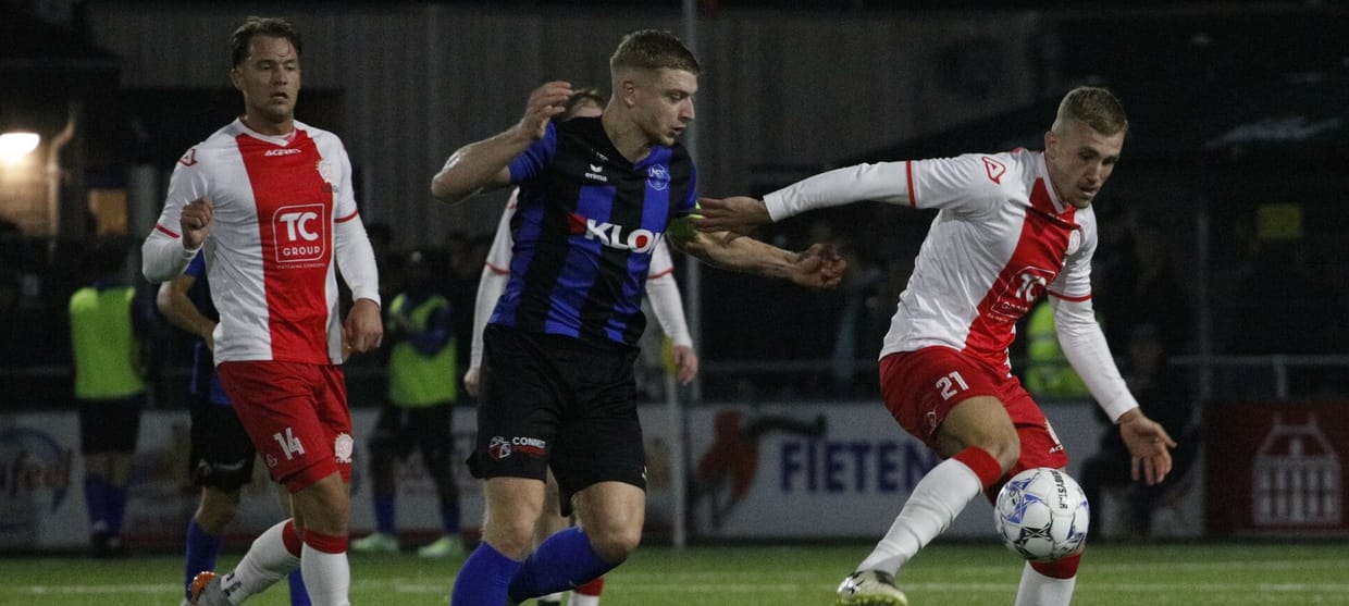 IJsselmeervogels - ACV