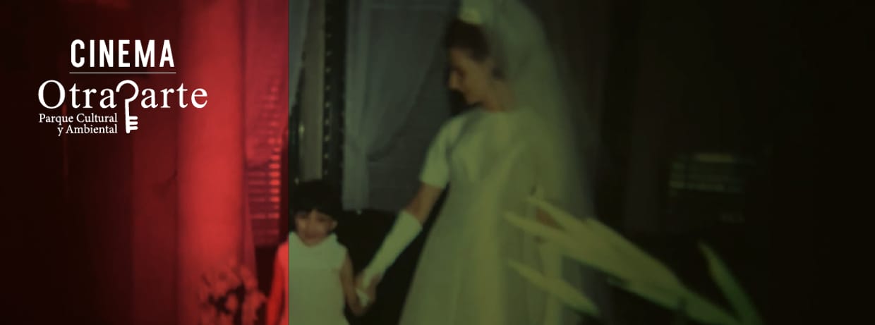 Las novias del sur