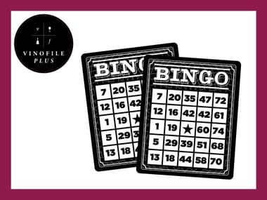 Vinofile Plus Pick Up Party - Wine Bingo