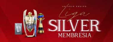 LIGUISTA SILVER-APORTANTE MENSUAL 2026
