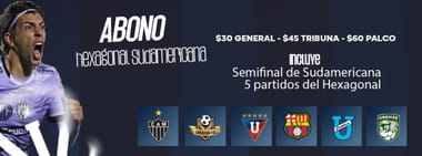 COMBO HEXAGONAL + SEMIFINALES COPA SUDAMERICANA*