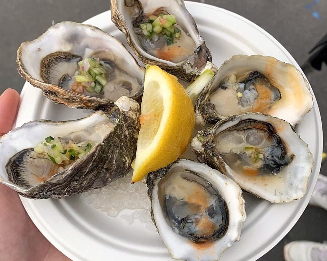 Oyster Cook-Off