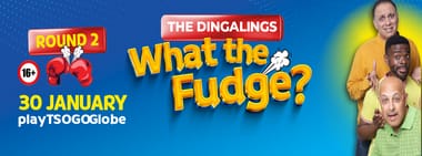 Dingalings Presents Brainos & Charous Round 2: WHAT THE FUDGE?!