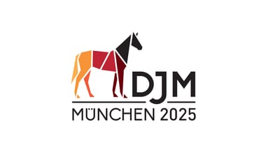Deutsche Jugend-Meisterschaften Voltigieren 2025