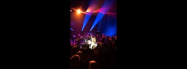 THE LAS VEGAS REVIVAL SHOW - ELVIS 