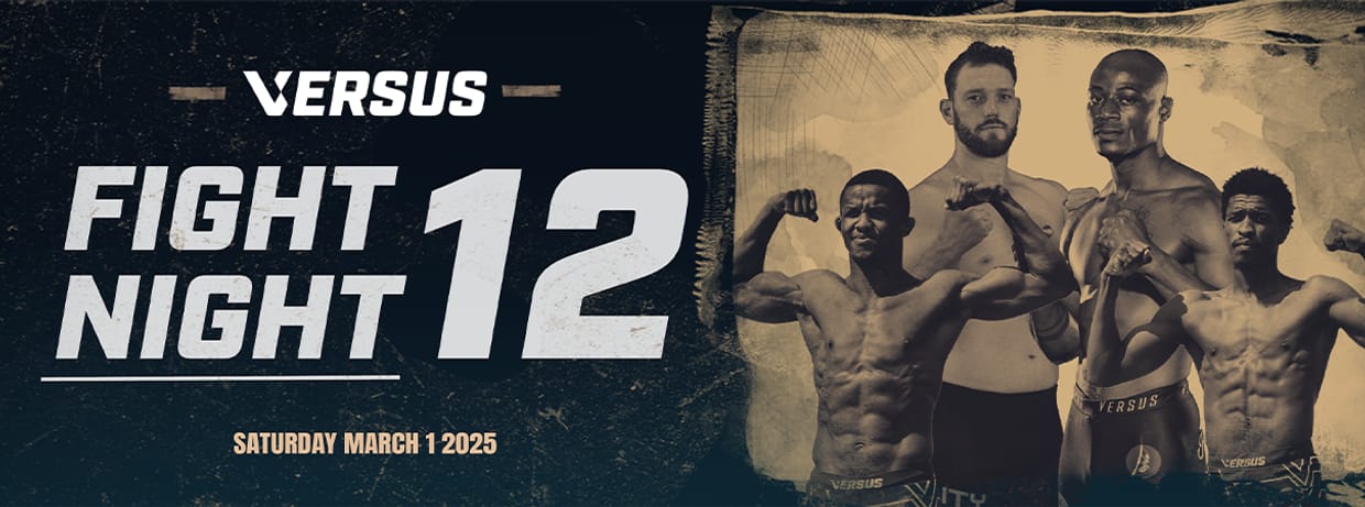 Versus Fight Night 12