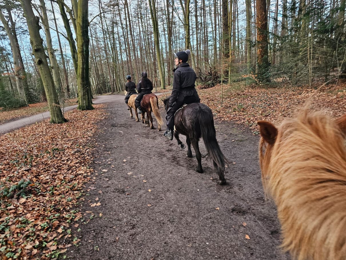 frá Sól Coaching & Buitenritten