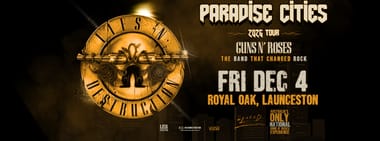 Guns N Roses Show 