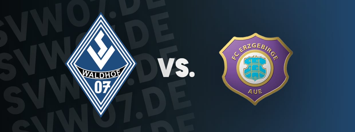 Waldhof Mannheim vs FC Erzgebirge Aue