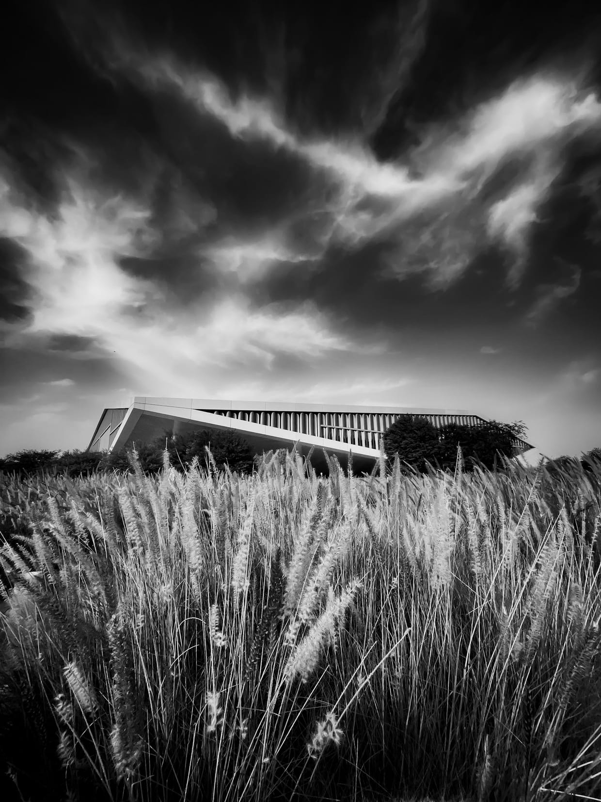 Copyright and Licensing your Photographs