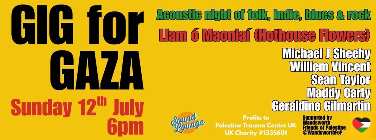 Gig for Gaza with Liam ó Maonlaí (Hothouse Flowers)