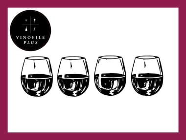 Vinofile Plus Pickup Party: Tastings, Pairings & Comedy