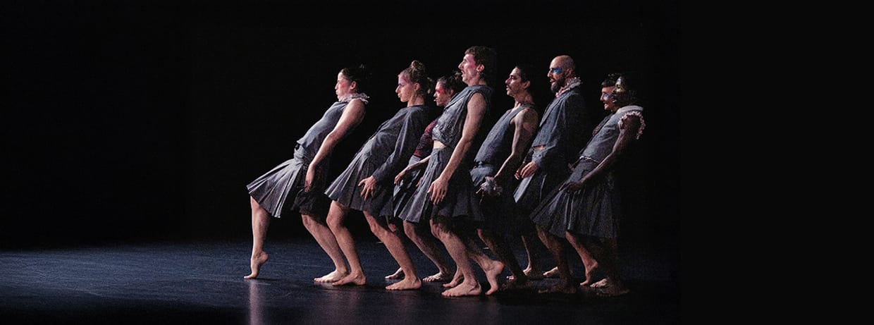 COCOONDANCE COMPANY