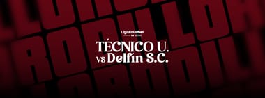 HINCHADA LOCAL TÉCNICO UNIVERSITARIO vs DELFÍN