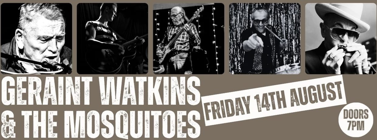 Geraint Watkins & The Mosquitoes