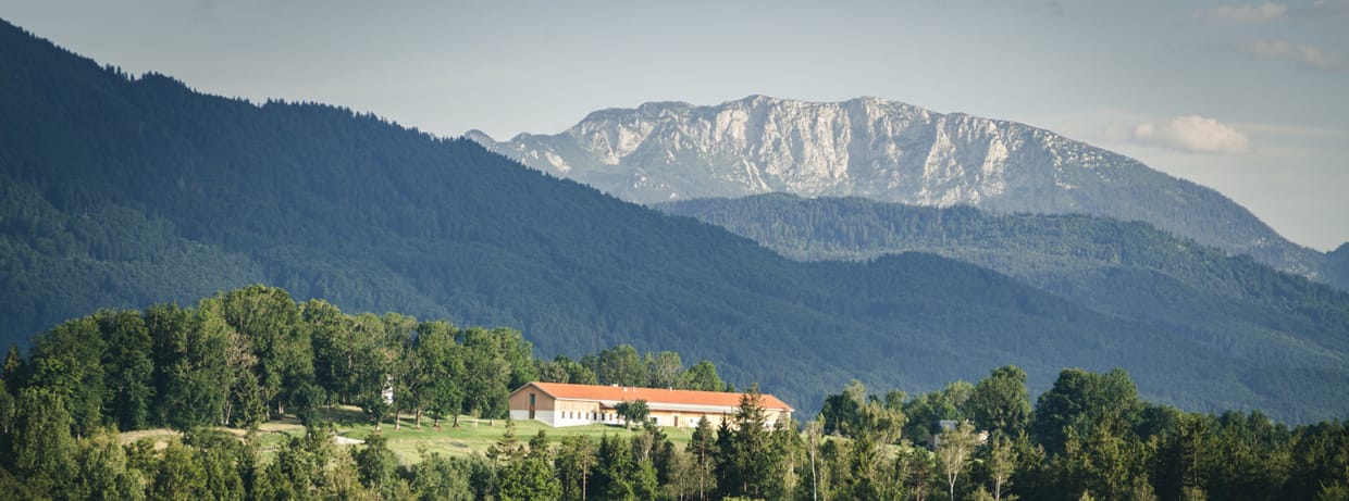 Hofgutführung Karpfsee und Langes Haus