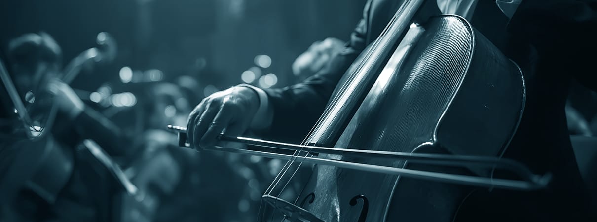 Mayence Music Management