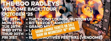 The Boo Radleys