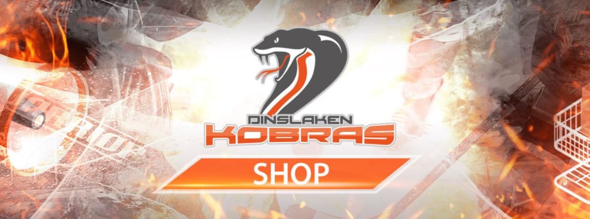 ERV Dinslakener Kobras e.V.