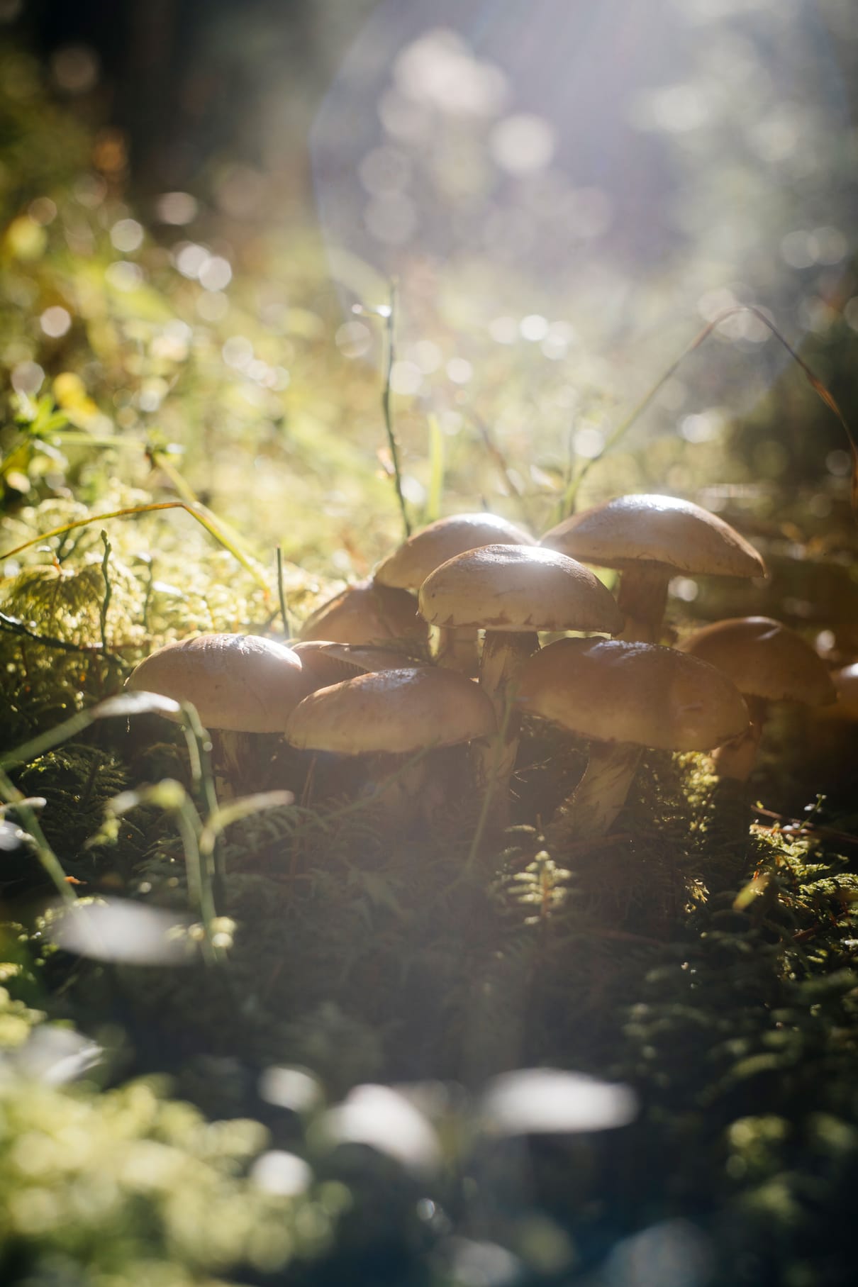 Stiftung Kunst und Natur gGmbH | Nantesbuch