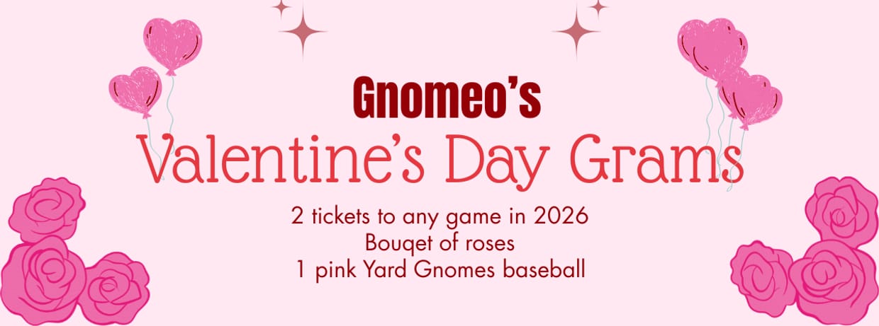 Valentine's Day Gram