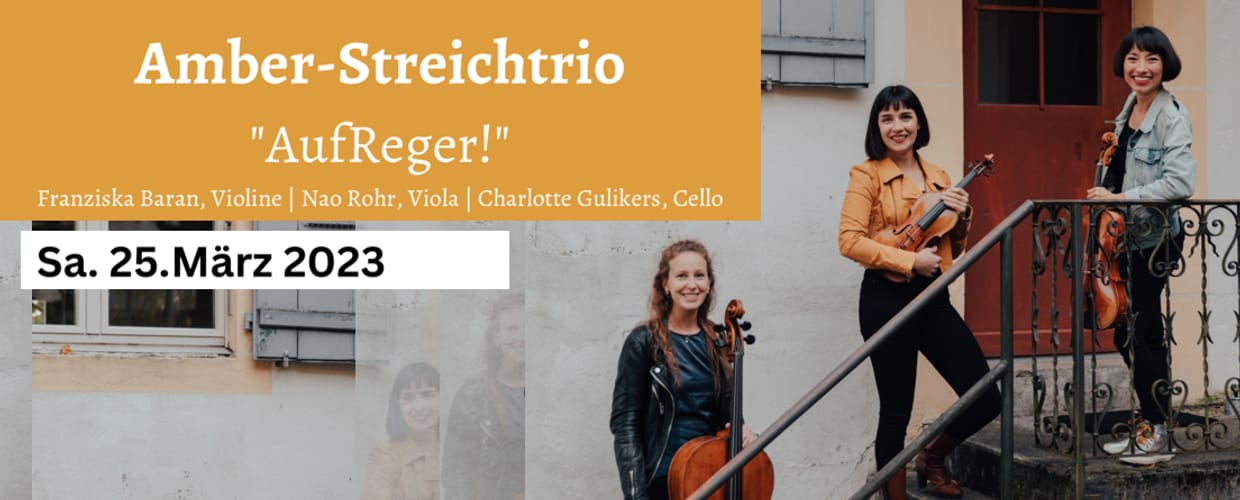 Amber Streichtrio - "AufReger!"