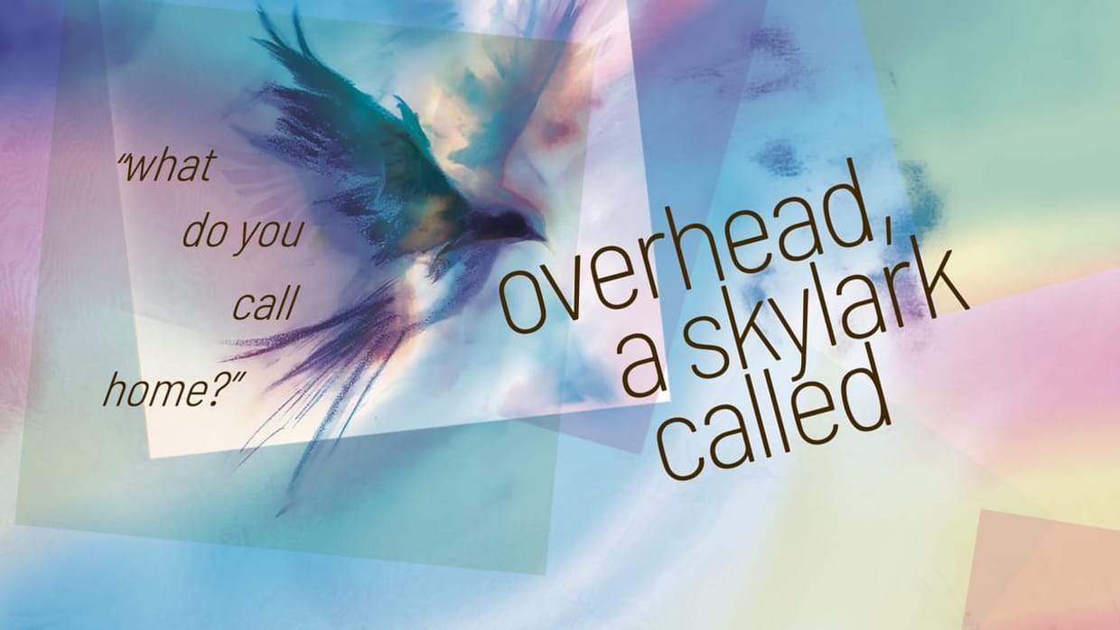 overhead, a skylark called