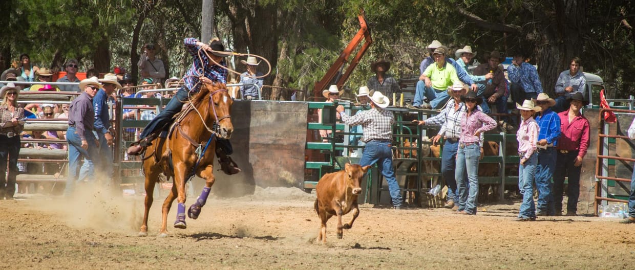 Boddington Lions Rodeo 2025