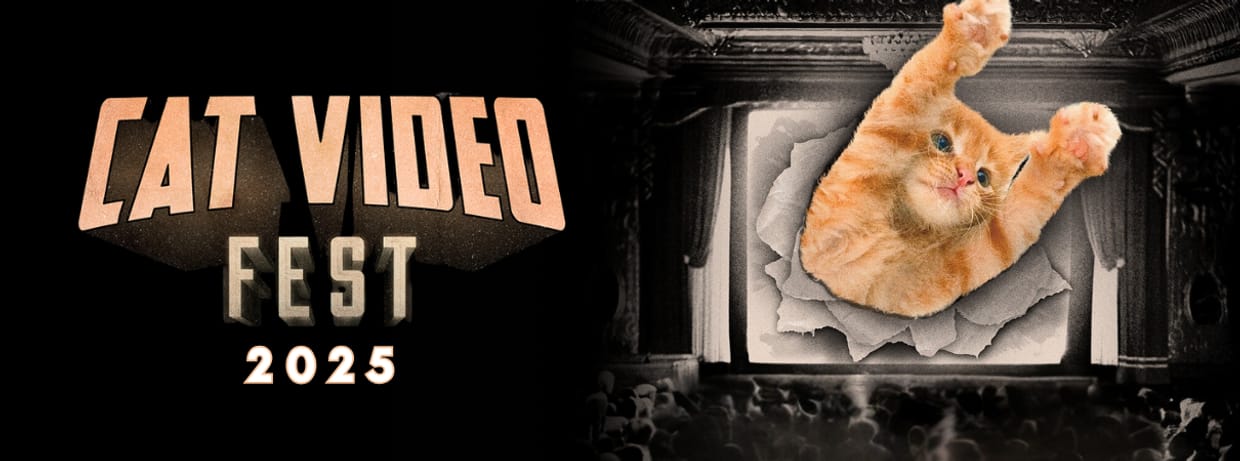 Cat Video Fest 2025