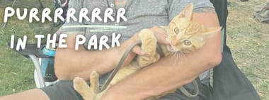 Purr in the Park