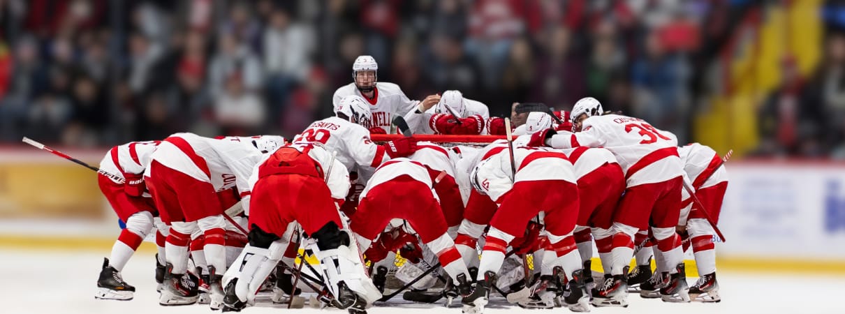 Cornell Athletics Ticketing