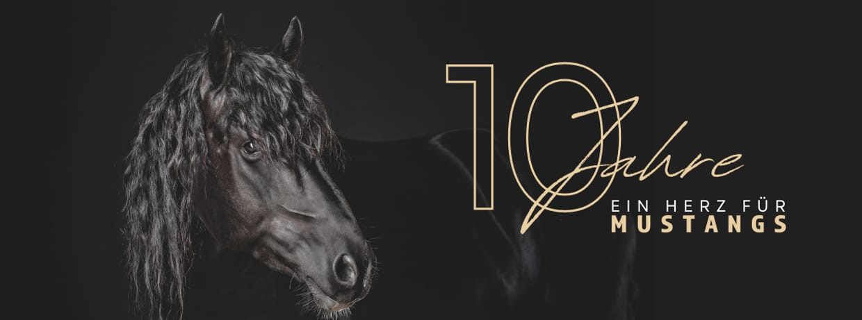 10 Jahre MMO Feier