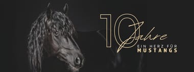 10 Jahre MMO Feier