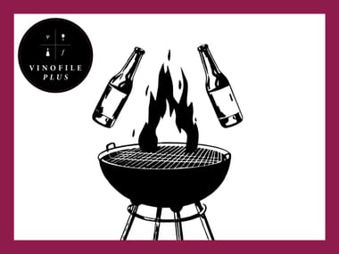 Vinofile Pickup Party: Backyard Tastings (Wine & 4Hands Beer Tasting)