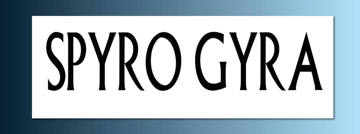 Spyro Gyra