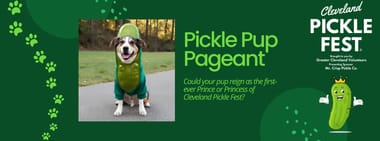 Pickle Pup Pageant