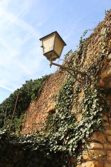Entdeckungen entlang der Stadtmauer / So, 24. April 2022