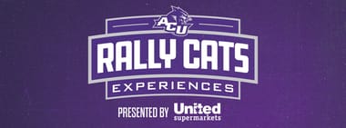 Rally Cats Experiences