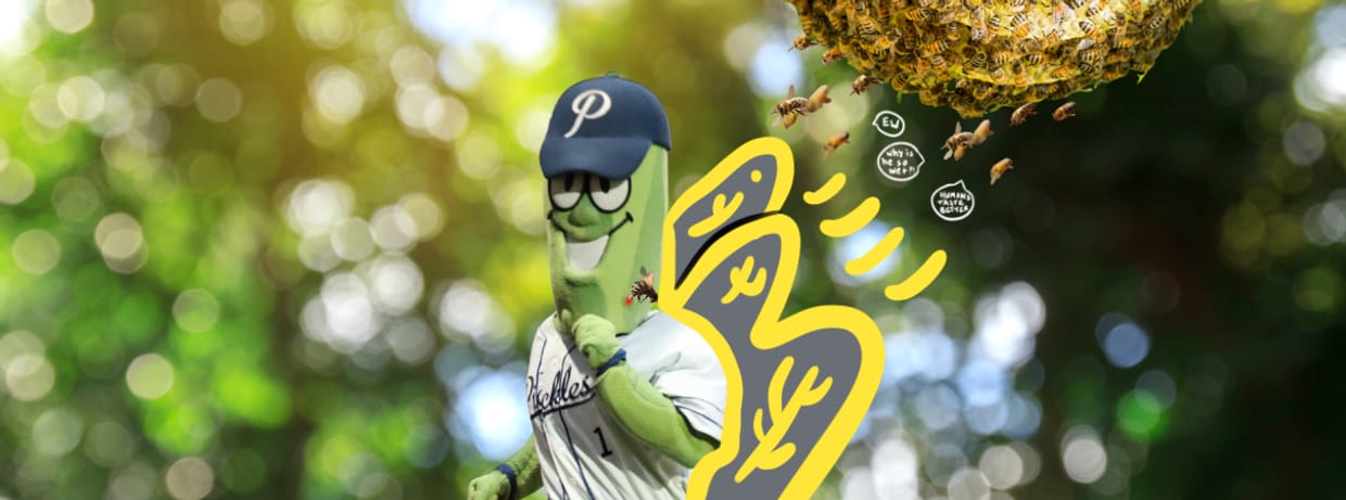 Bee Sting Survivor Night